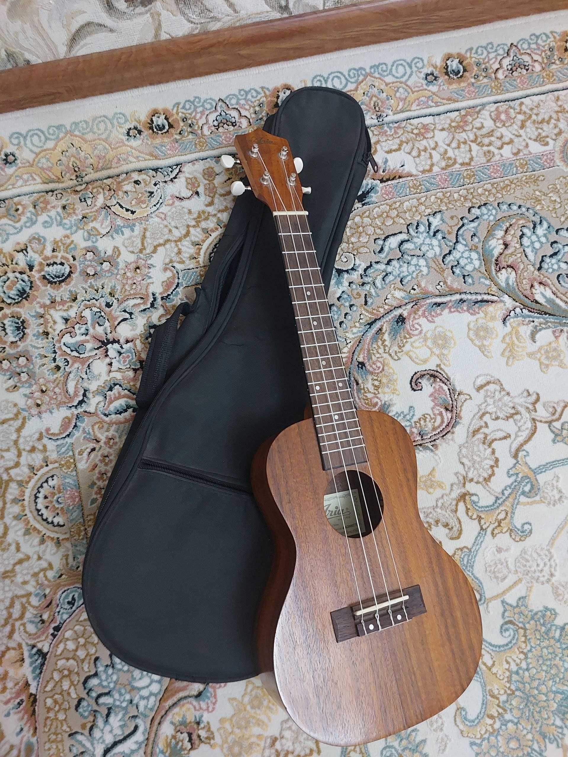 Укулеле Aria ACU-1K