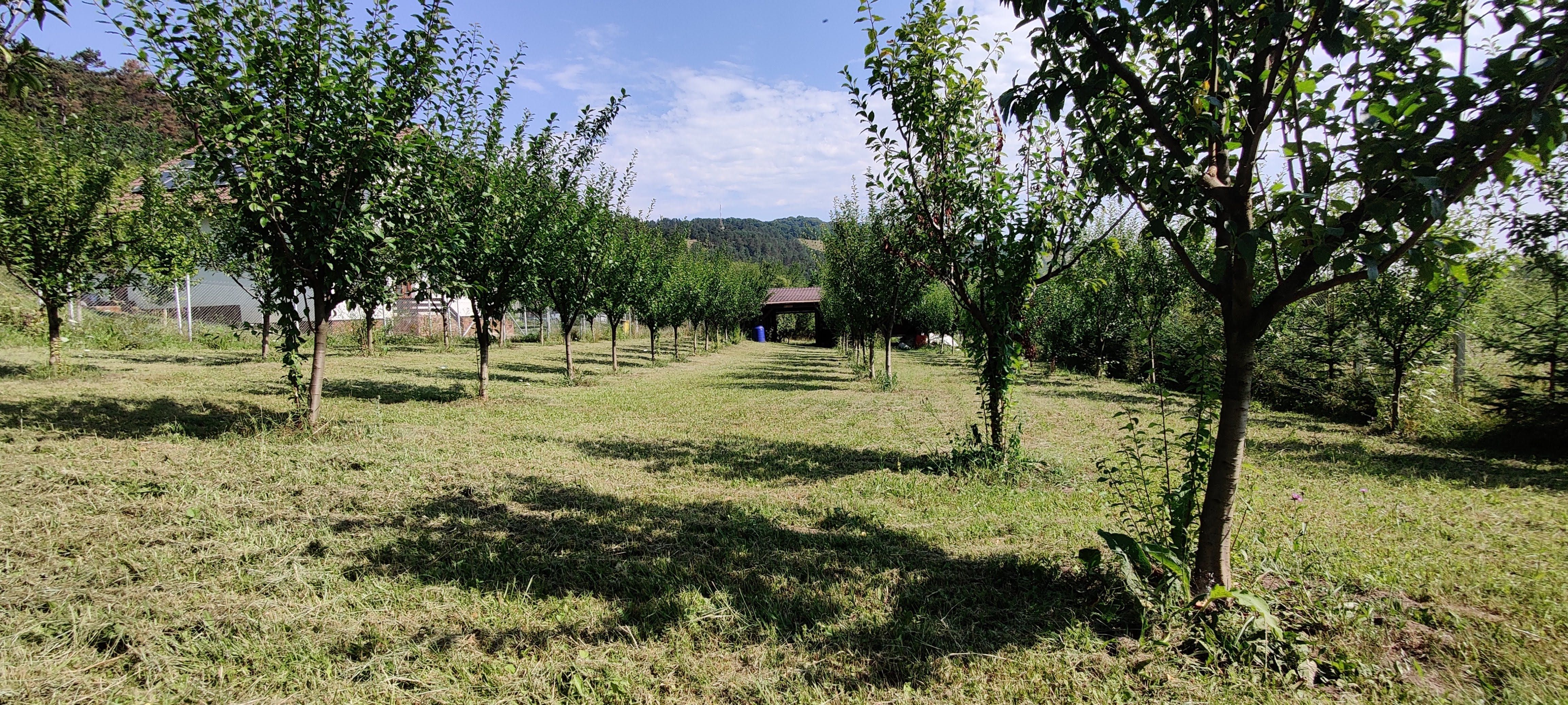 Vand teren 1000 mp zona Deal Lempes Brasov.