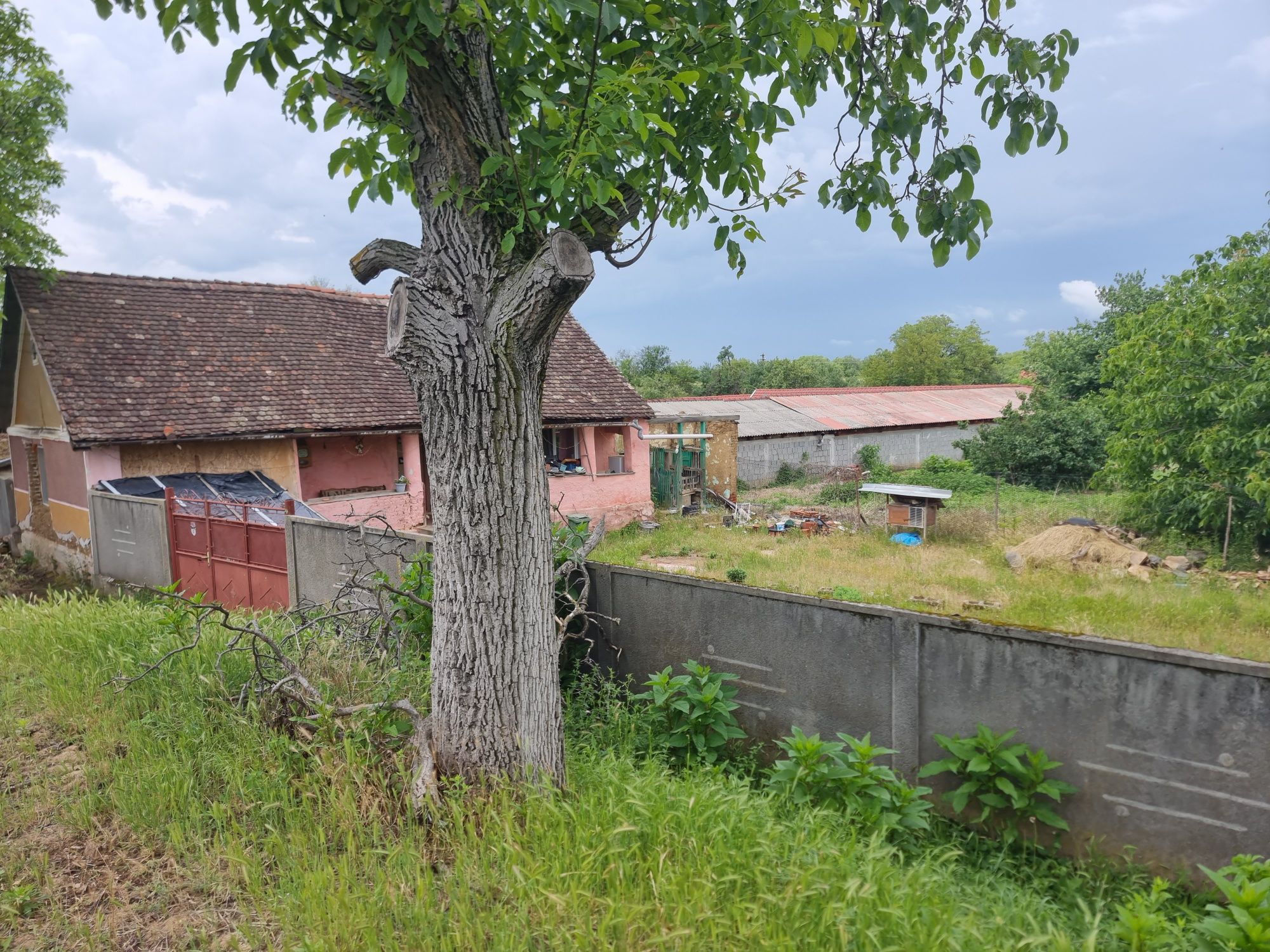 Vând casa cu grădină la Miniș-Ghioroc