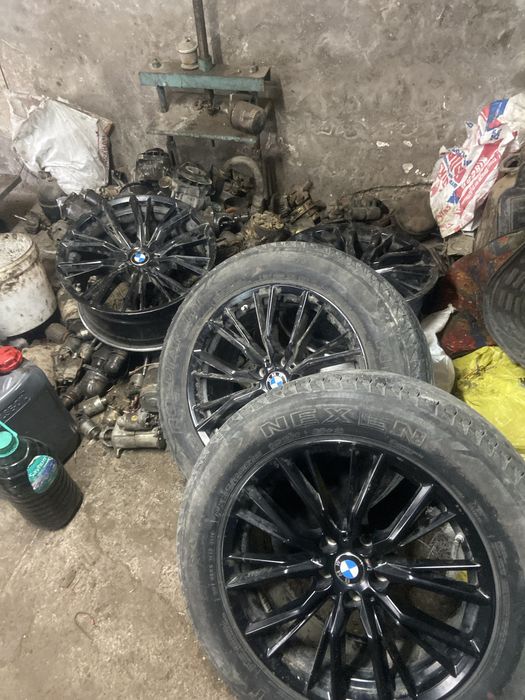 xolati zor 1 2 kichkina petno bor