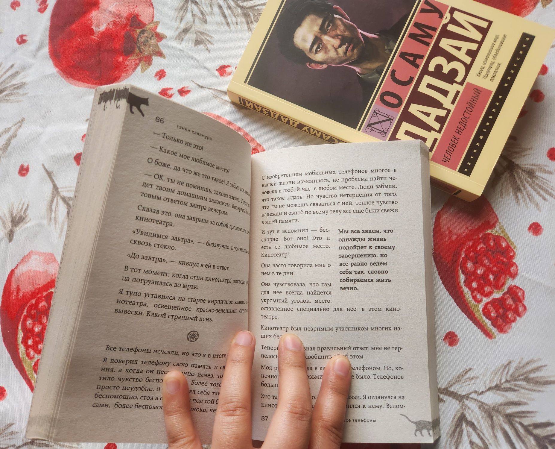 "Если все кошки в мире исчезнут"и "Человек недостойный"