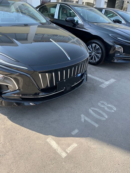 Hongqi e- km5 500 km notarius