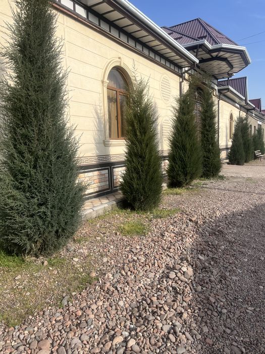 Archa kesish gazon ekish archalarni dorilash