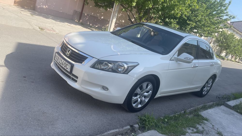 Honda accort 2008 yil 320 mng