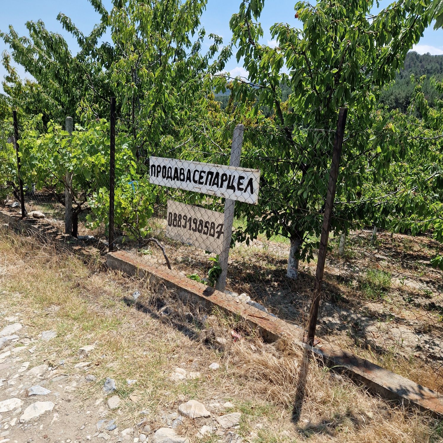 Парцел в Асеновград се продава