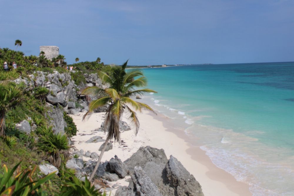 Aparat Canon EOS 2000D