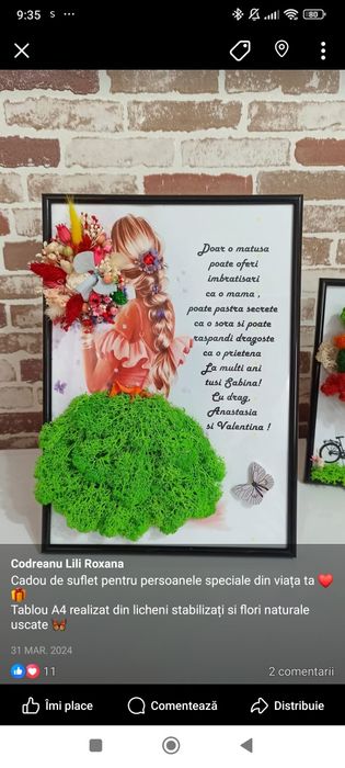 Tablouri decorate cu licheni premium