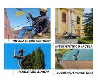 Servicii de alpinism utilitar Baia Mare