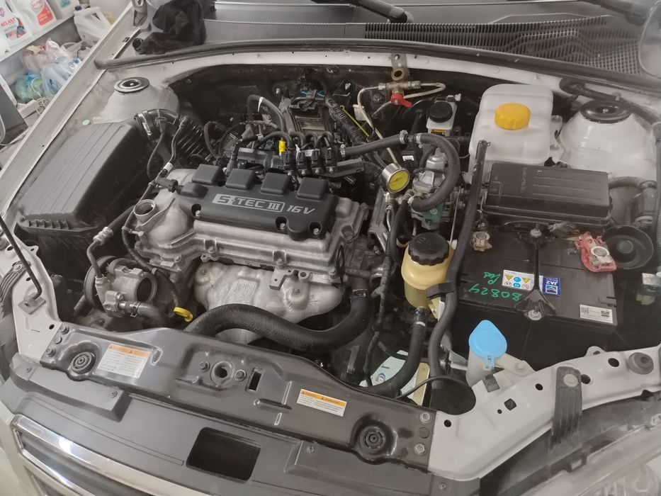 Мошина  тоза йил 2015 йил