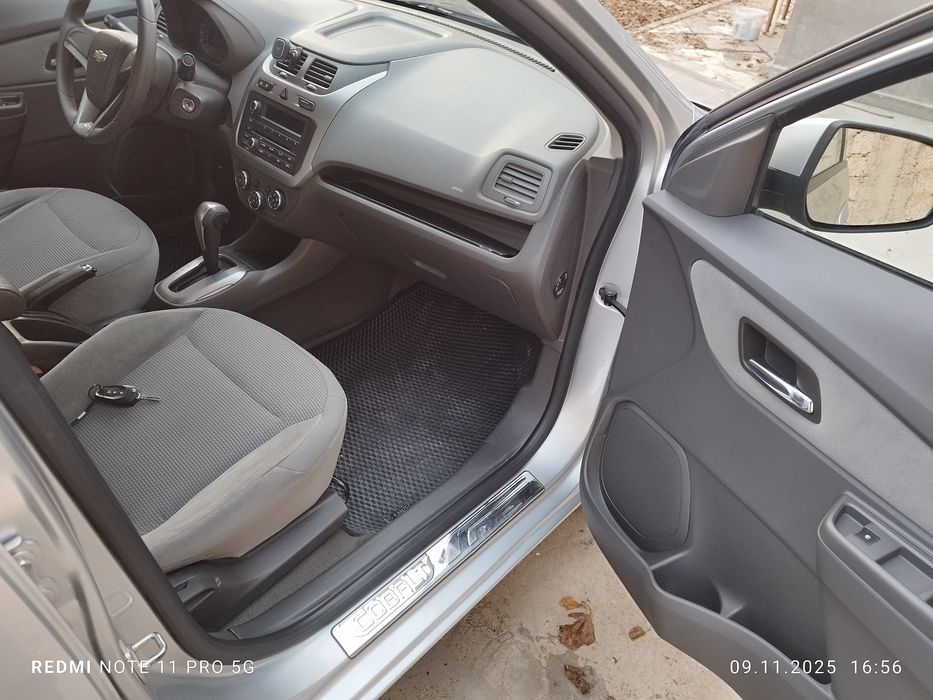 2023- краска тозза