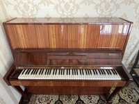 Belarus pianinosi