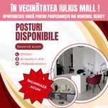 Post de inchiriat in salon