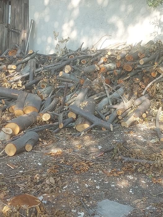Дърва  за  огрев