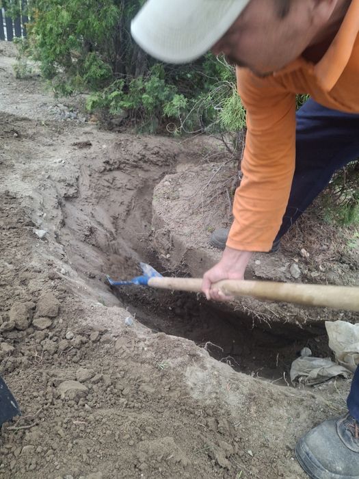 Посадка и пересадка любых деревьев спил деревьев Стрижка кустов газона