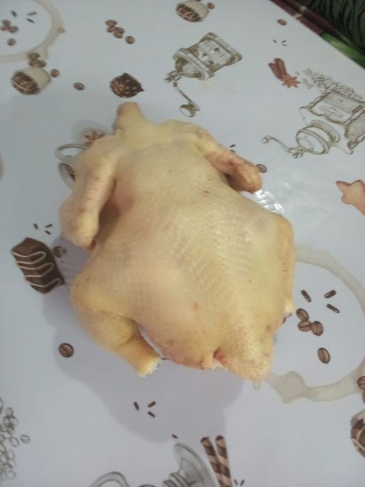 Продам курочек домашние бролеры