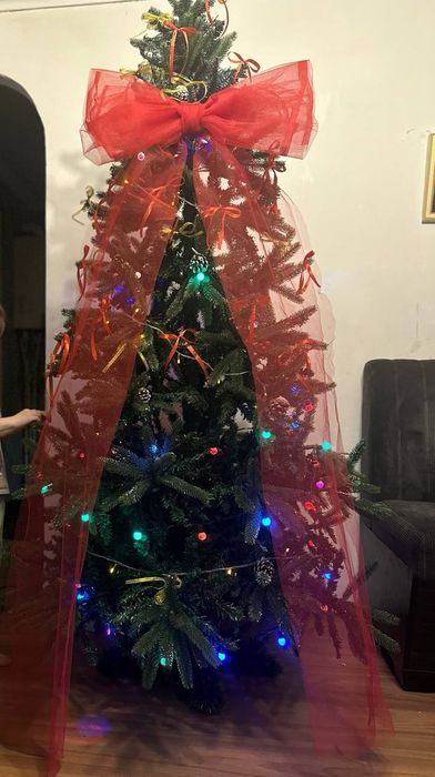 Янгийил. Арча сотилади.