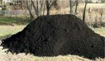 Pamant NEGRU vegetal