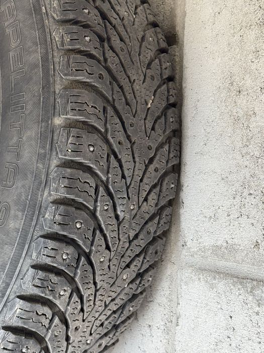 Шины зимние Nokian hakapellita