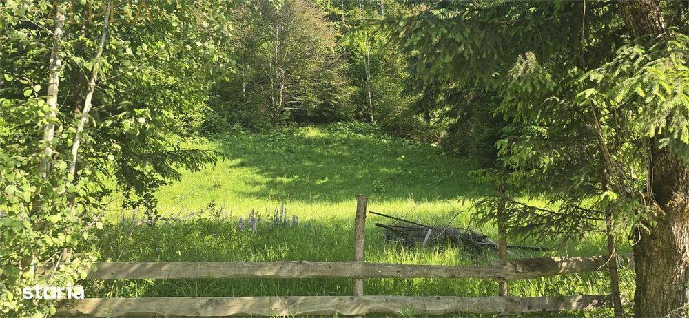Teren intravilan de vanzare in Colibita