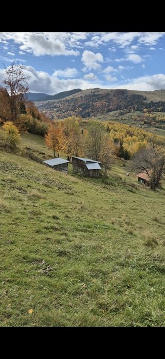 Teren de vanzare tranisu