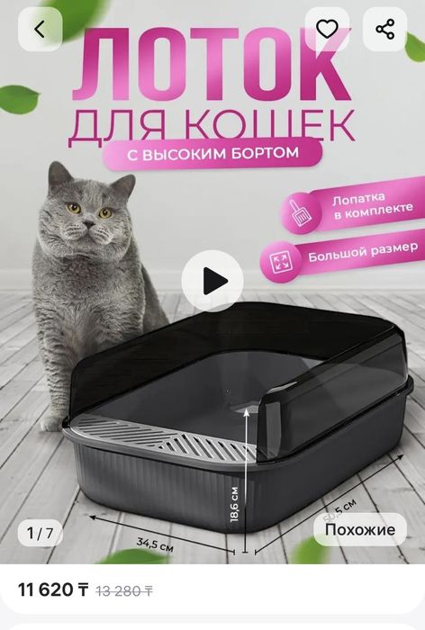 Большой лоток для кошки