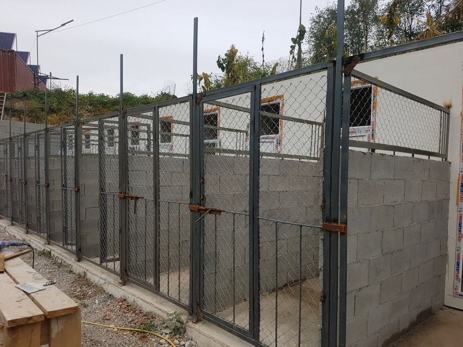 Зоо гостиница для собак с дрессировкой.