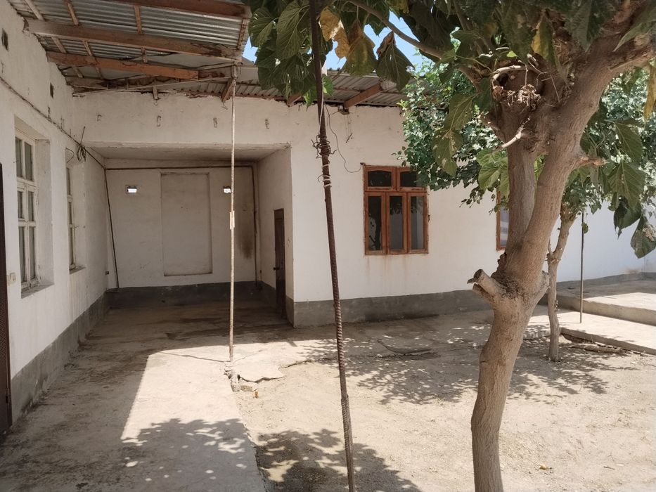 Termiz sh Baynal minal mahallasini tugrisidagi kuchada hovli uy tezda