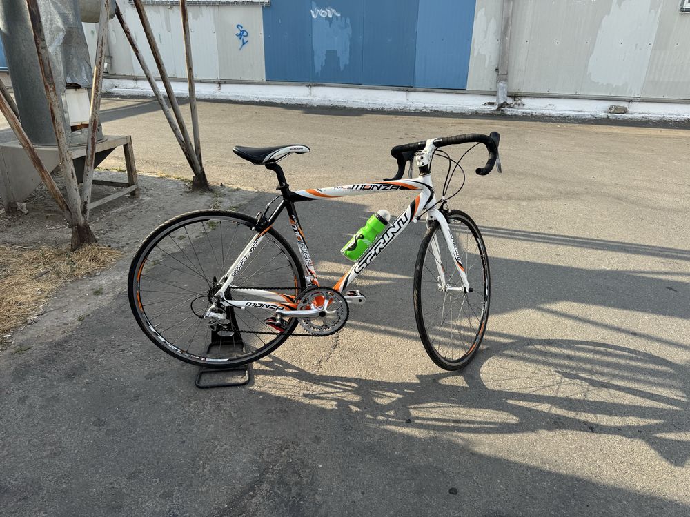 Cursiera Sprint Monza Race