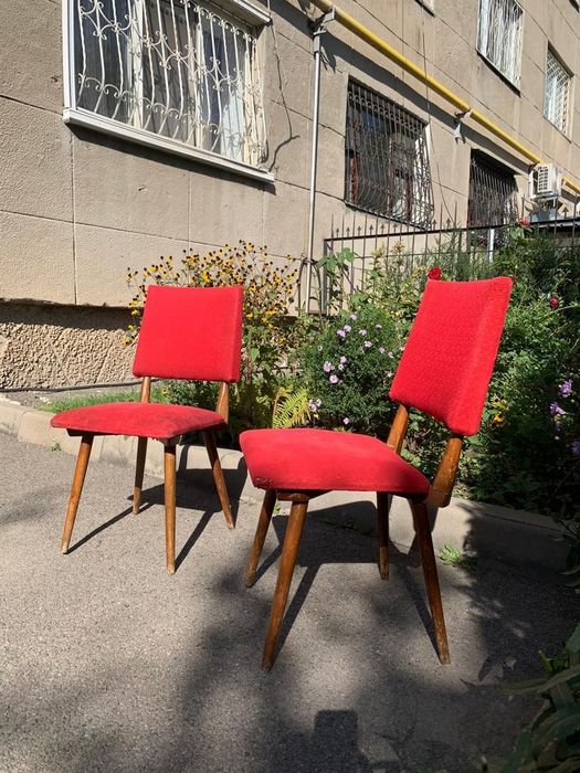 Продам срочно стулья