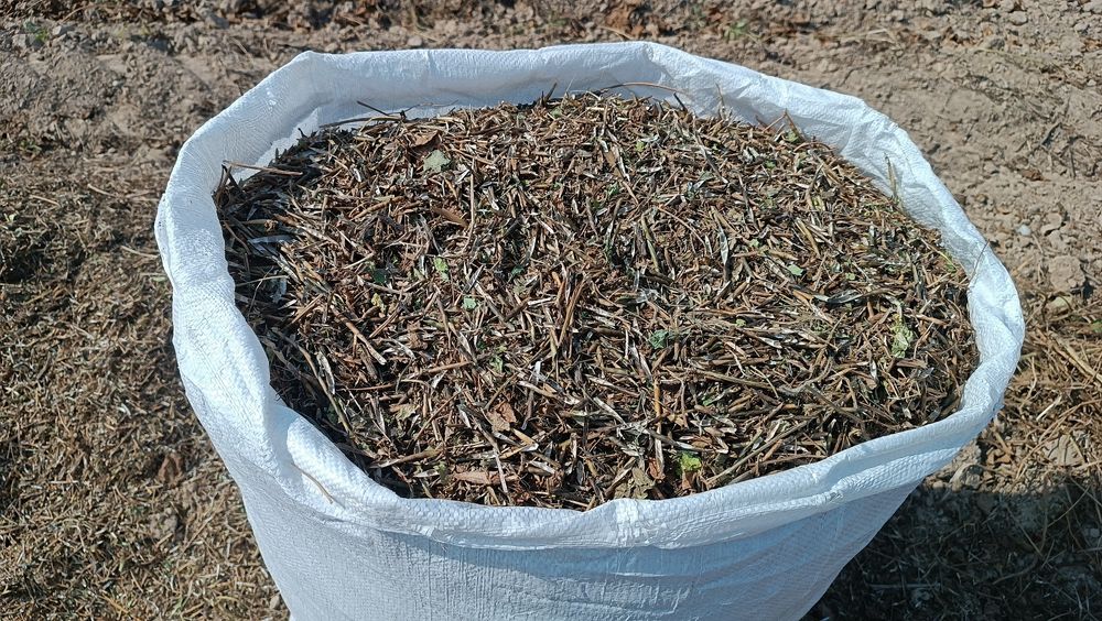 Moshni buri qo'ylar uchun