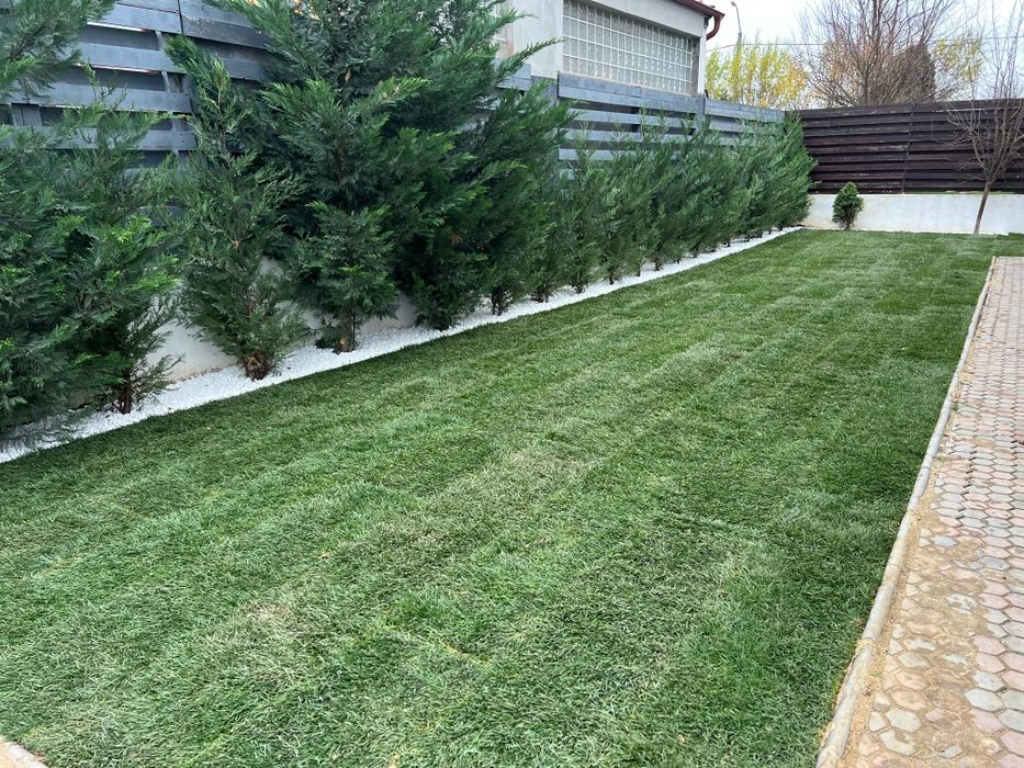 Amenajări grădini: Irigații Hunter, Gazon, Piatra Albă, Fertilizare.