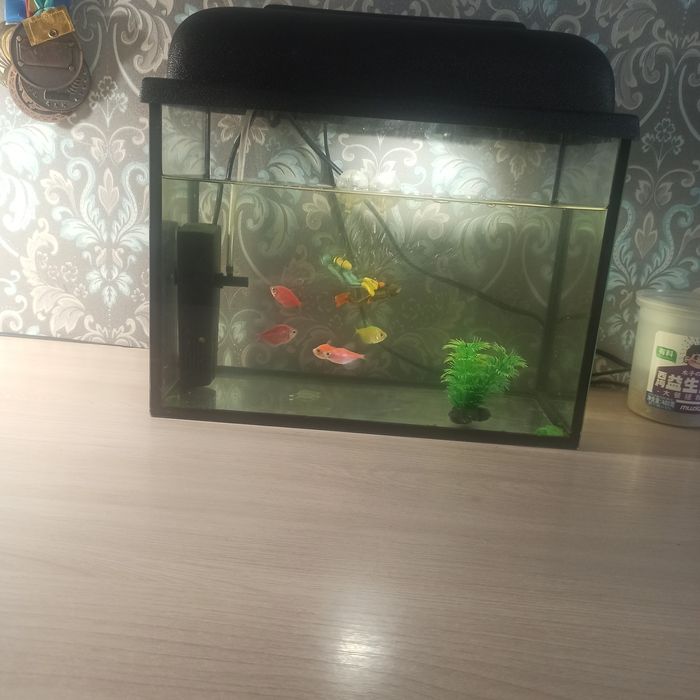 Продам аквариум с рыбками