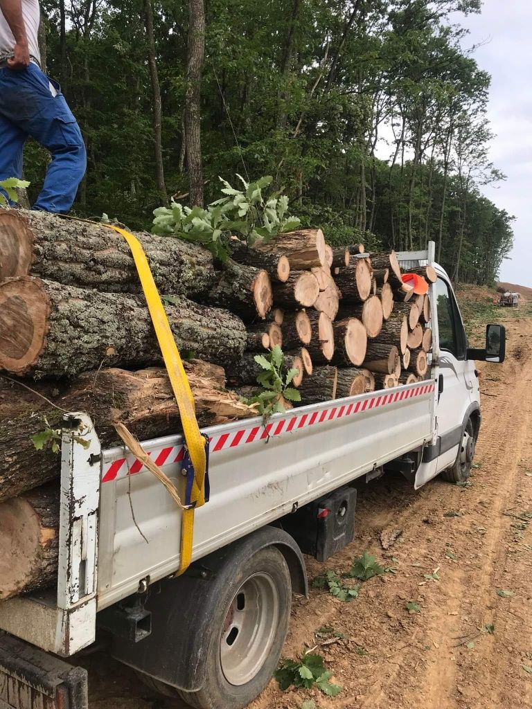 Lemne de foc esență tare