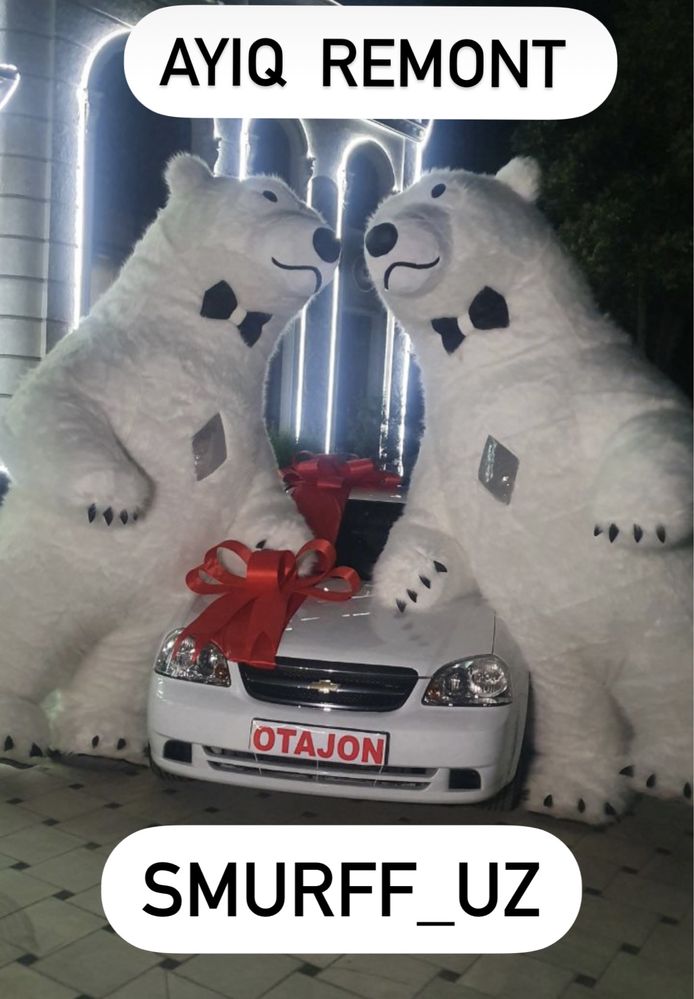 Ayiqlar sotiladi Ayiq sotiladi