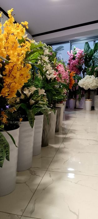 Суний дарахт ва гуллар Уй ва офисингиз учун ажойиб декоративные элемен
