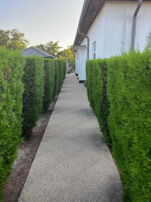 Casă de Vânzare în localitatea Valea Roșie, Judetul Călărași