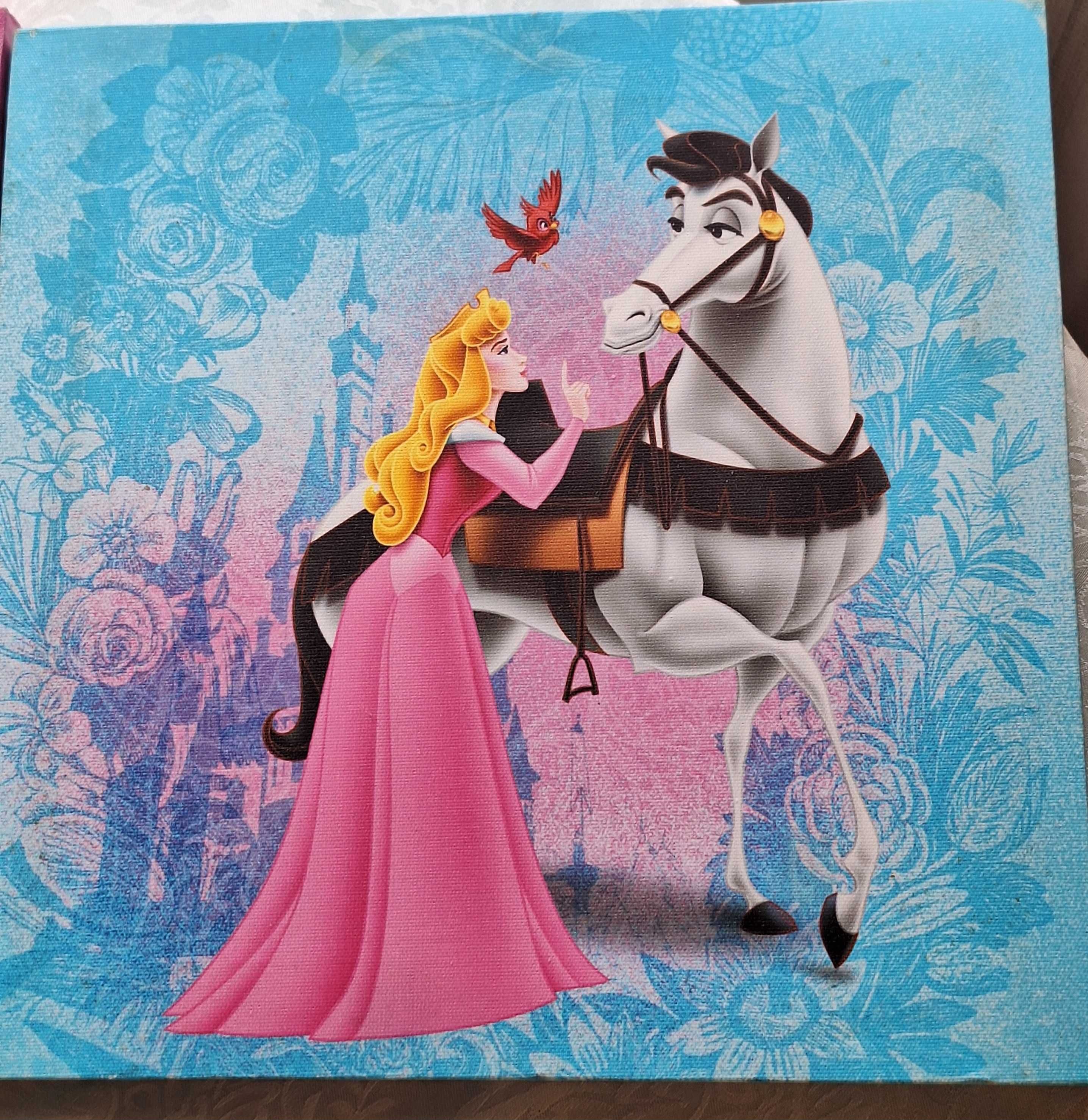 Две каргини канави на Disney princess, Аврора и Пепеляшка, 30×30 см