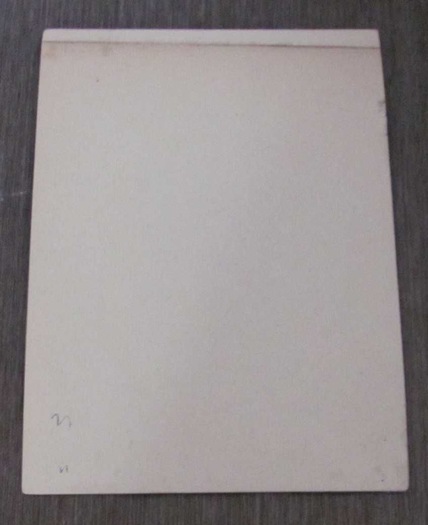 Regina Maria a României Cromolitografie