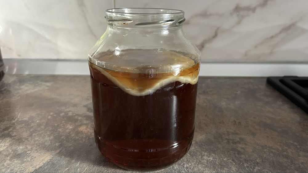 Kit Strater Kombucha: ciuperca SCOBY + ceai fermentat