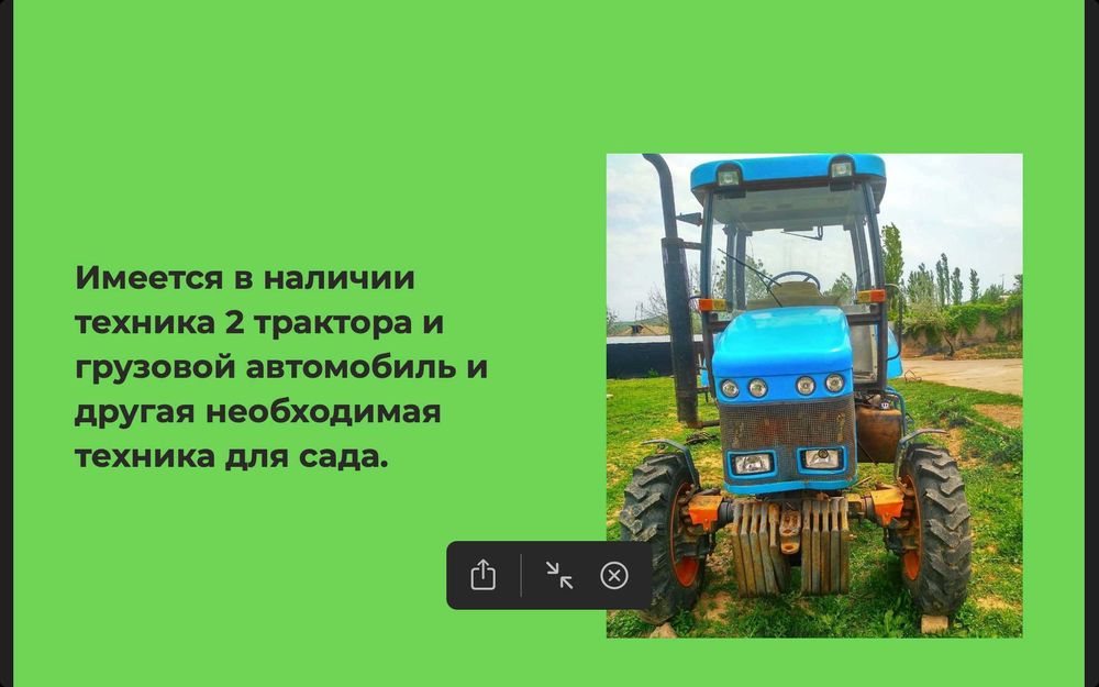 Продаётся современный фруктовый комплекс в Бостанлыкском районе 30гект