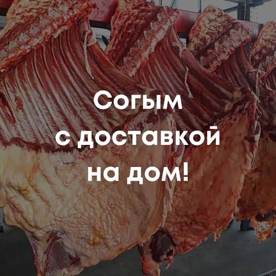 Соғым ауылдан жеткіземіз