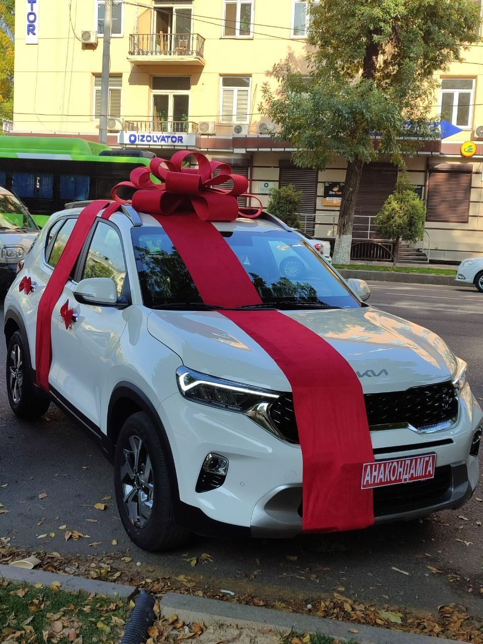 Bantik lenta, Avtobantik  падарочный лента