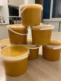 Продам башкирский мёд