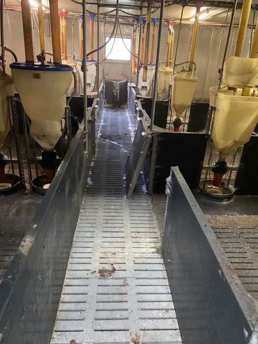 Panouri despartitoare din plastic foarte rezistent