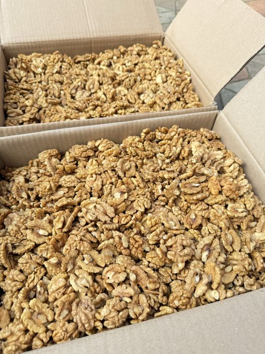 Vând jumătăți miez de nuca alb 2025!