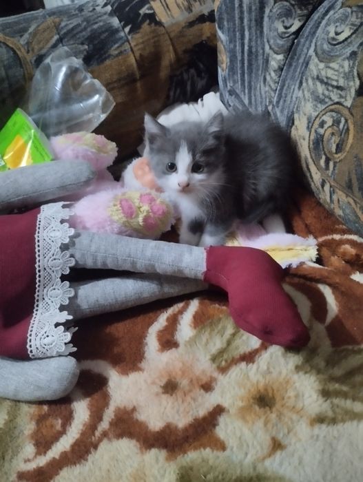 В хорошие руки )))