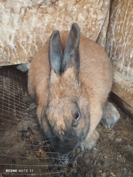 1 dekabr 12 oy 2025 yil