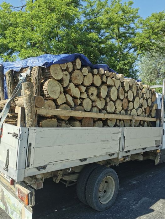 lemne pentru foc/semineu/soba etc.