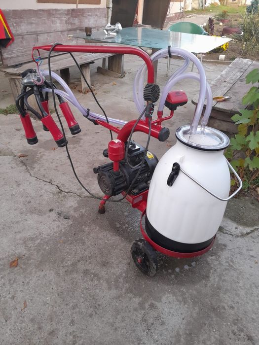 Mulgatoare  in stare functionala