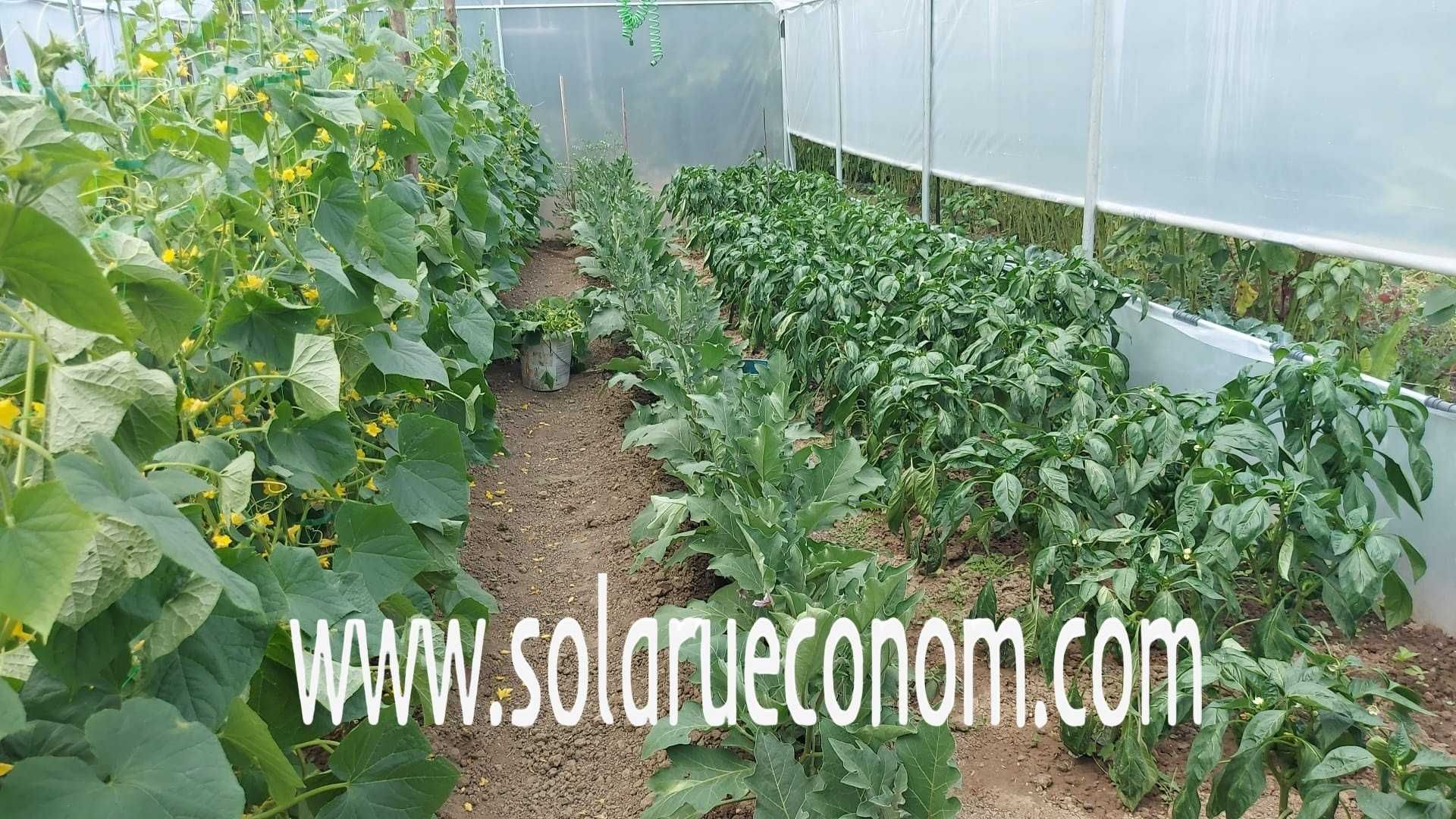 Solar(sera) din gama PREMIUM și STANDARD – transport gratuit